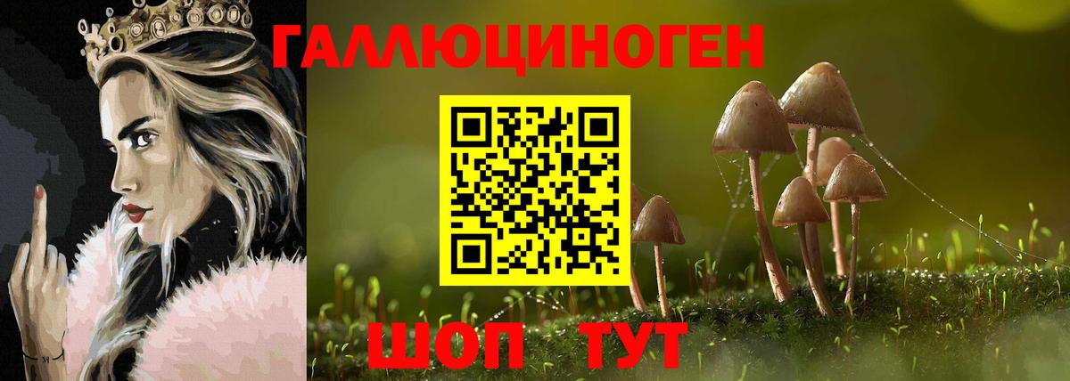 Семилуки  Псилоцибиновые грибы GOLDEN TEACHER  Вход с VPN 